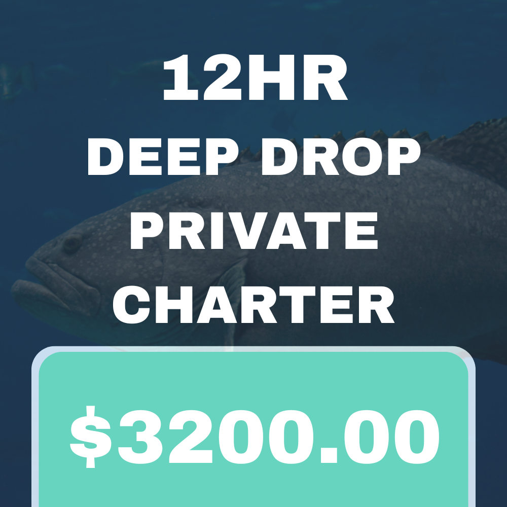 12HR DEEP DROP GROUPER TRIP