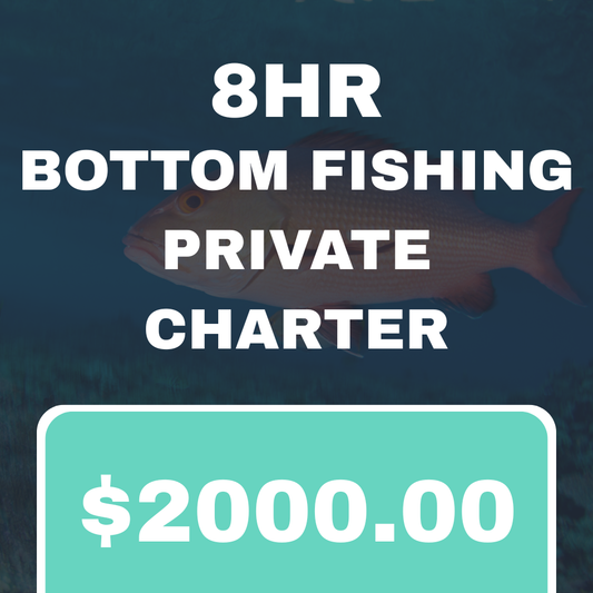 8 HR BOTTOM FISHING