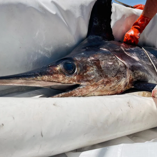 12Hr Swordfish Private Charter