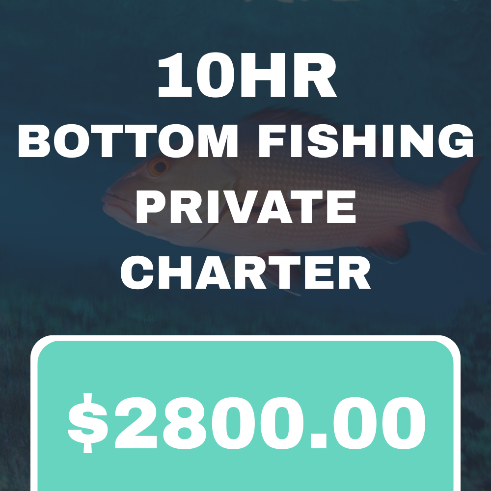 10HR BOTTOM FISHING