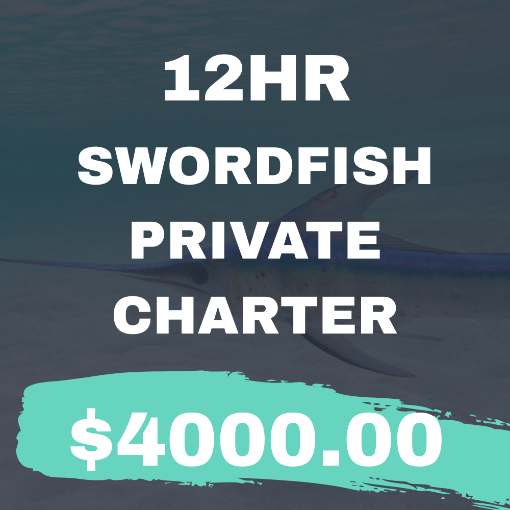 12Hr Swordfish Private Charter